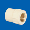 Brass FPT Coupling