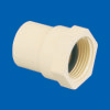 Female Adapter (CVPC Threads)