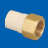 Female Adapter (Brass Threads)